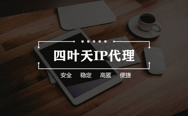 【沧州代理IP】如何快速搭建代理IP？怎么检查代理的效果？